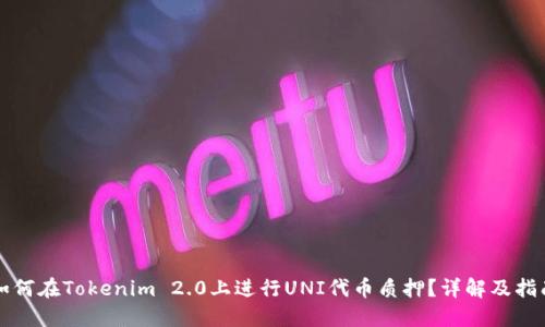 如何在Tokenim 2.0上进行UNI代币质押？详解及指南