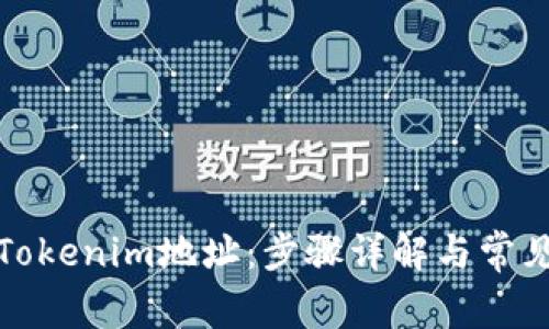 如何查看Tokenim地址：步骤详解与常见问题解答