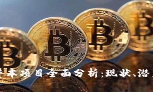 山东区块链资本项目全面分析：现状、潜力与发展方向