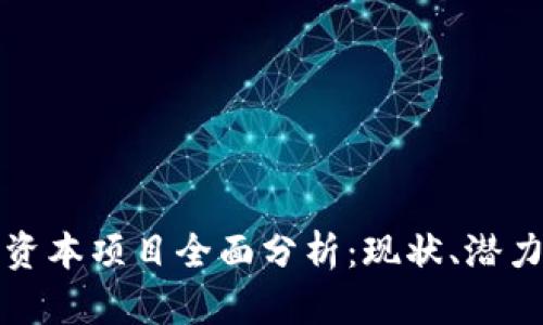 山东区块链资本项目全面分析：现状、潜力与发展方向