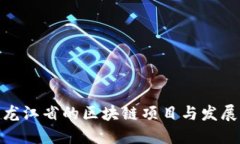 : 黑龙江省的区块链项目与发展现状