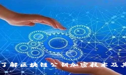 深入了解区块链公钥加密技术及其应用