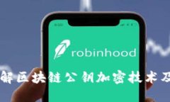 深入了解区块链公钥加密技术及其应用