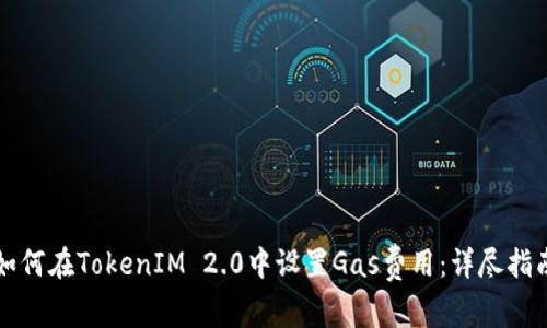 如何在TokenIM 2.0中设置Gas费用：详尽指南