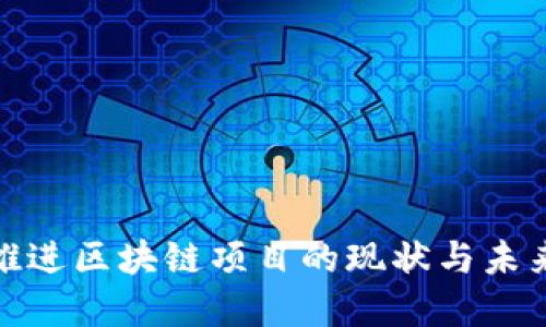 政府推进区块链项目的现状与未来发展