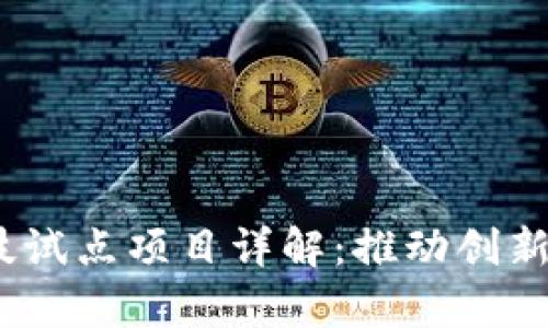 2023年区块链科技试点项目详解：推动创新与实践的前沿领域