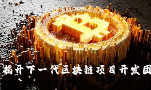 Tokenim 2.0：揭开下一代区块链项目开发团队的神秘面纱