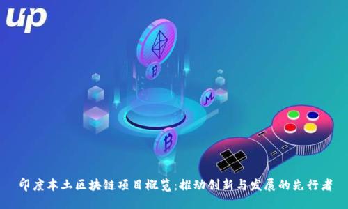 印度本土区块链项目概览：推动创新与发展的先行者