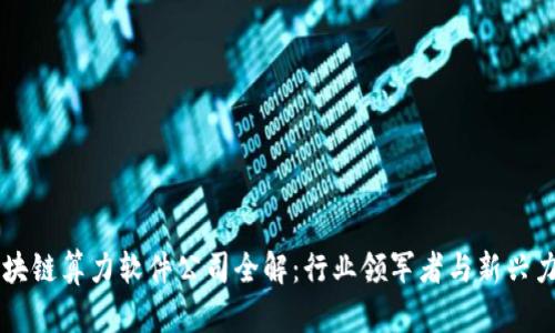 区块链算力软件公司全解：行业领军者与新兴力量