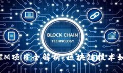 2023年连云港TokenIM项目全解析：区块链技术如何重