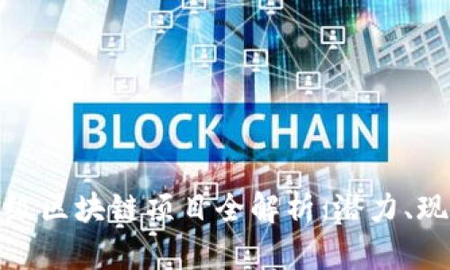 : 国内顶级区块链项目全解析：潜力、现状与未来