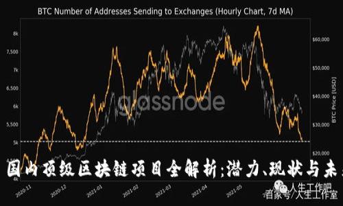 : 国内顶级区块链项目全解析：潜力、现状与未来