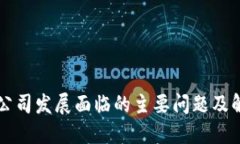 区块链公司发展面临的主要问题及解决方案