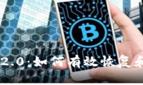 Tokenim 2.0：如何有效恢复和用户体验