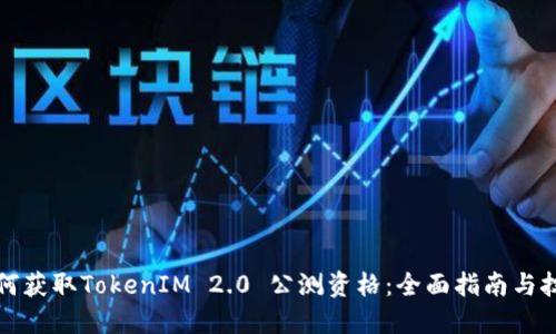 如何获取TokenIM 2.0 公测资格：全面指南与技巧