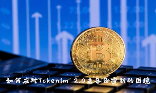 如何应对Tokenim 2.0未备份密钥的困境