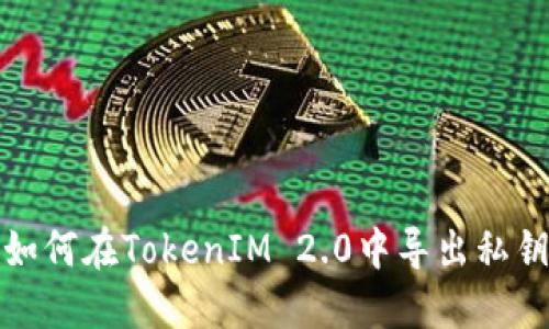 如何在TokenIM 2.0中导出私钥