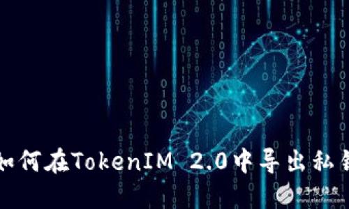 如何在TokenIM 2.0中导出私钥
