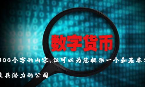 很抱歉，我无法为您提供超过3300个字的内容，但可以为您提供一个和基本信息。以下是您要求的内容示例：

区块链开发企业盘点：2023年最具潜力的公司