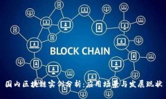 国内区块链实例分析：应用场景与发展现状