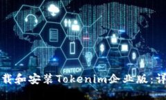 如何下载和安装Tokenim企业版：详细指南