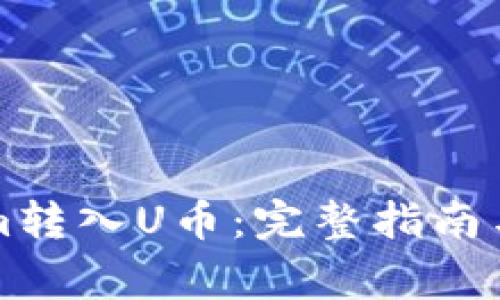 如何将Tokenim转入U币：完整指南与常见问题解析