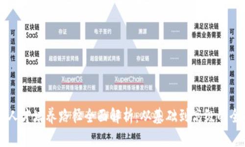 区块链人才培养路径全面解析：从基础到高级的全面指南