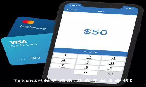 TokenIM投资指南：您需要投多少钱？