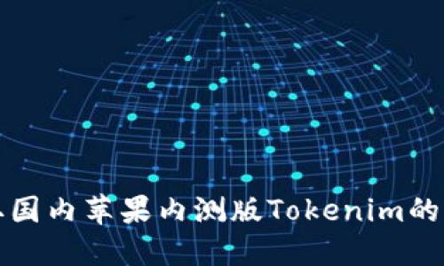 如何获取国内苹果内测版Tokenim的详细指南