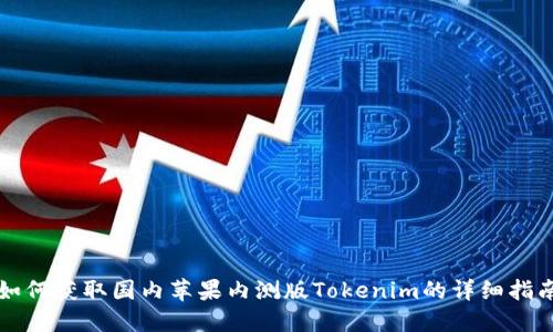如何获取国内苹果内测版Tokenim的详细指南
