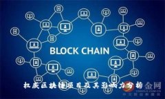 权威区块链项目及其影响力分析