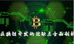 区块链开发的优缺点全面剖析