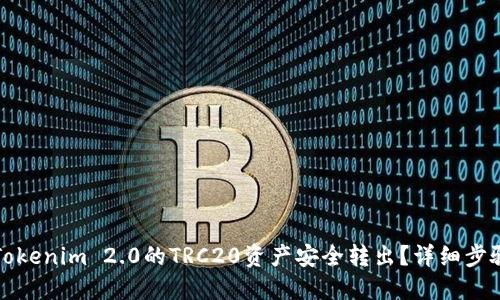 如何将Tokenim 2.0的TRC20资产安全转出？详细步骤与指南