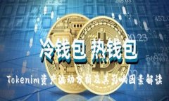 Tokenim资产波动分析及其影响因素解读