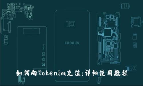 如何向Tokenim充值：详细使用教程