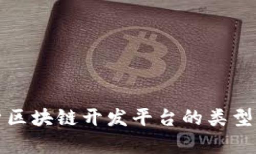 全面解析区块链开发平台的类型及其特点
