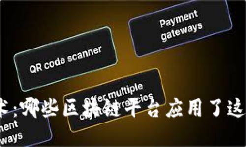 探秘侧链技术：哪些区块链平台应用了这一创新理念？