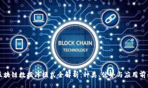 区块链数据库模式全解析：种类、优势与应用前景